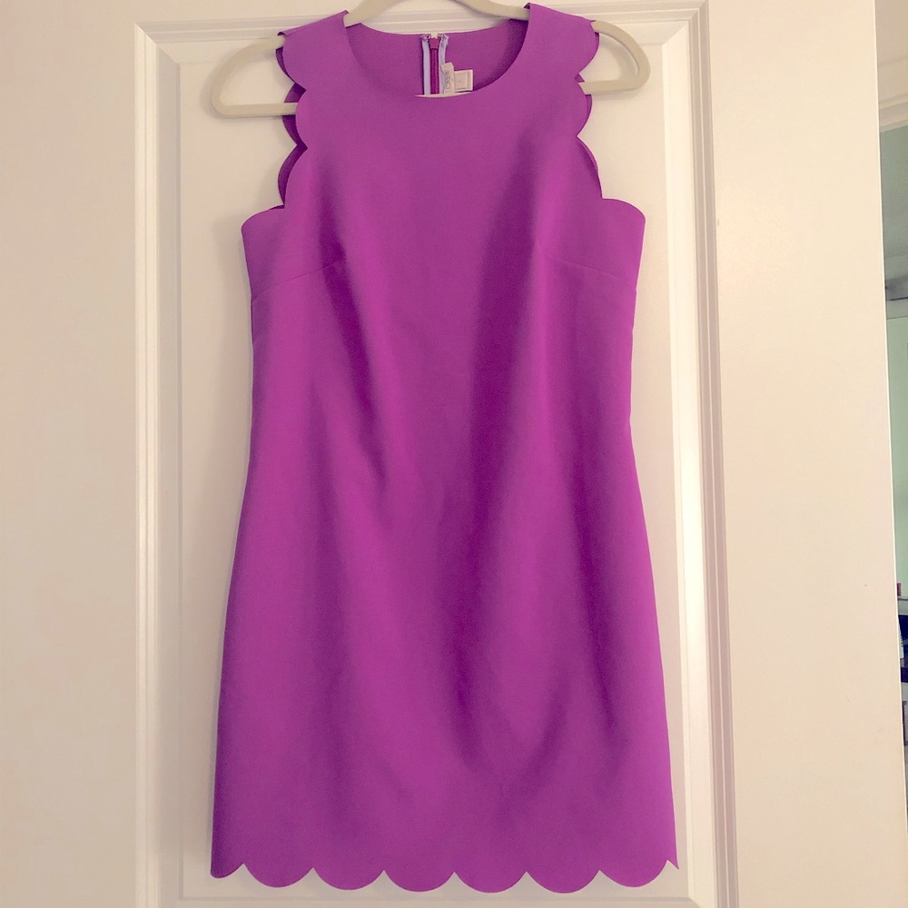 J Crew Scalloped Dress